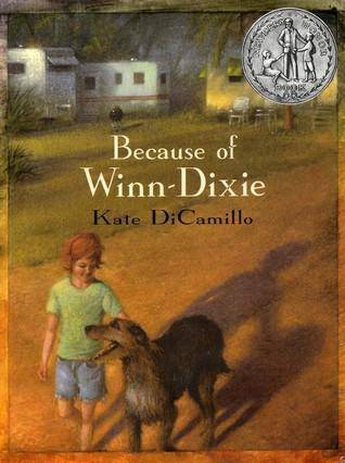 I need a summary for my causing of the book Beacause of winn dixie

i read this wen i was on 6 g