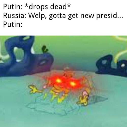 Don’t mess with Putin XDDD