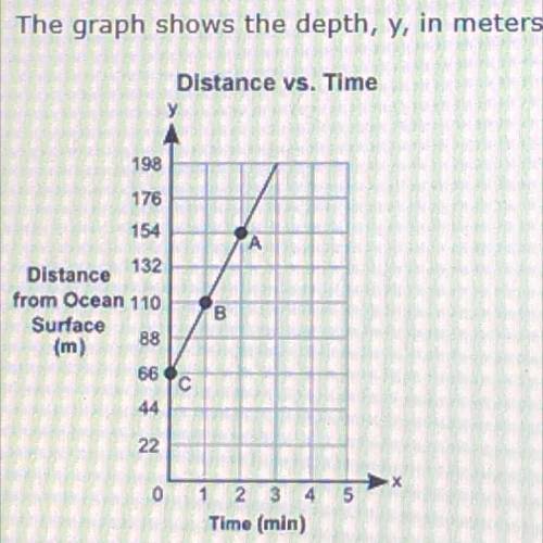 Help ASAPPP

the graph shows the depth,y, in meters, if a shark from the surface of an ocean for a