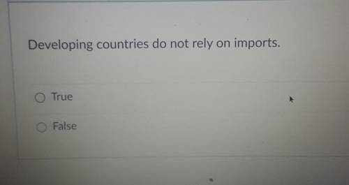 Will give brainliest True or False Developing countries do not rely on imports.