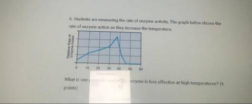 students are measuring the rate of enzyme activity. the graph below shows the rate of enzyme action
