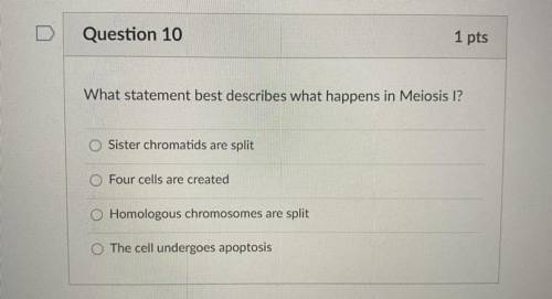 Please hurry, this a quiz, and it, not 4 cells, is wrong.