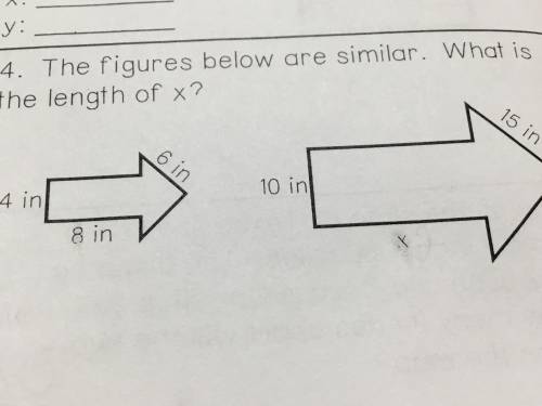 The figures below are similar. What is the length of x?