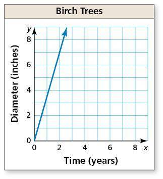 The diameter of a birch tree is proportional to its age. Use the graph to determine how long it tak