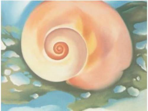 O'Keeffe painted small objects like shells so large they filled her canvas. She often cropped the o