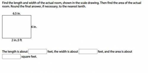 Find the length and width of the actual room, shown in the scale drawing. Then find the area of the