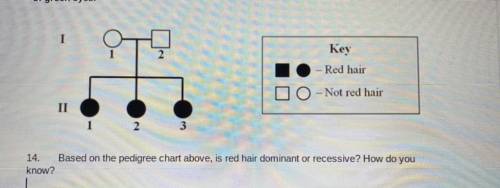 Based on the pedigree chart above, is red hair dominant or recessive? How do you know?