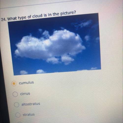 24. What type of cloud is in the picture?
cumulus
cirrus
altostratus
stratus