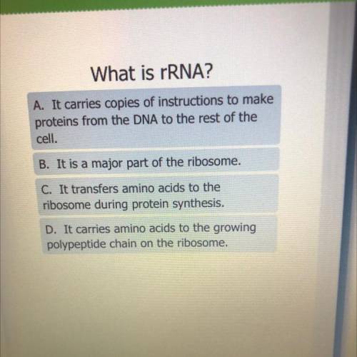 Hello Help plz :)What is rRNA