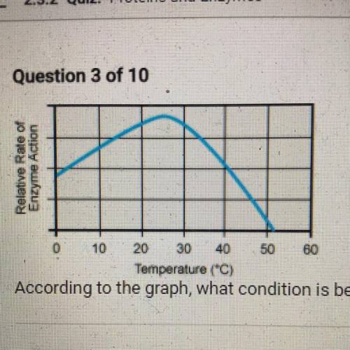 According to the graph, what condition is best for enzyme activity?

A. A temperature of 0°C
B. A