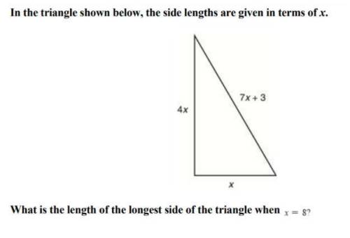 What is the length of the longest side of the triangle when x=8?