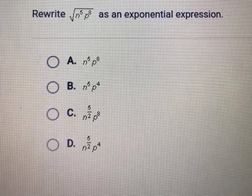 Help please I need help on this problem,appreciate it :)

Rewrite (squareroot n^5 p^8)
as an expon