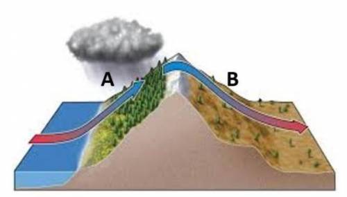The picture below is a diagram of a RAIN SHADOW. The arrows show the prevailing winds... Why is the