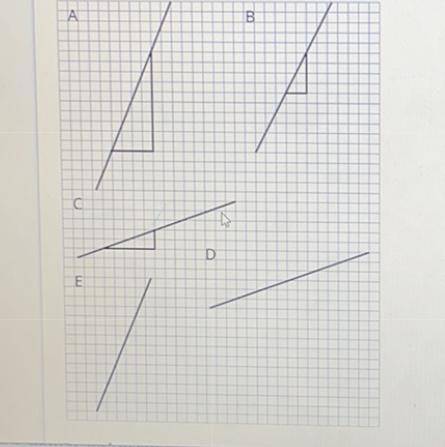 Which of these lines have a scale factor of 2?