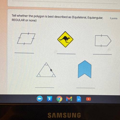 5 points

Tell whether the polygon is best described as (Equilateral, Equiangular,
REGULAR or none