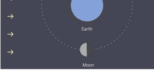 1. Susan is a space scientist who made this diagram of the Moon and Earth, as seen from above (top