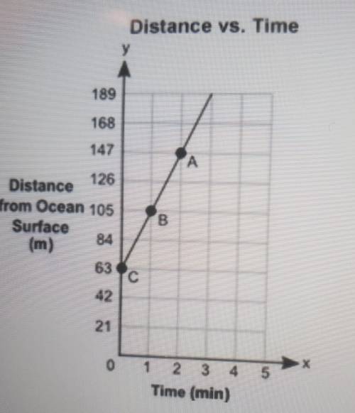NEED HELP The graph shows the depth, y, in meters, of a shark from the surface of an o