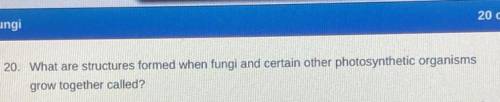 I need help but the answer choice is (A. protists) (B.lichens) C. flagellates) (D.yeast )