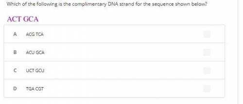 DNA strand thingy (9th grade biology) (multiple choice)