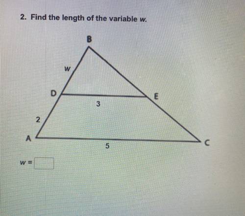 Find the length of the variable w