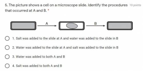 The picture shows a cell on a microscopic slide. Identify the procedures that occurred at A and B.
