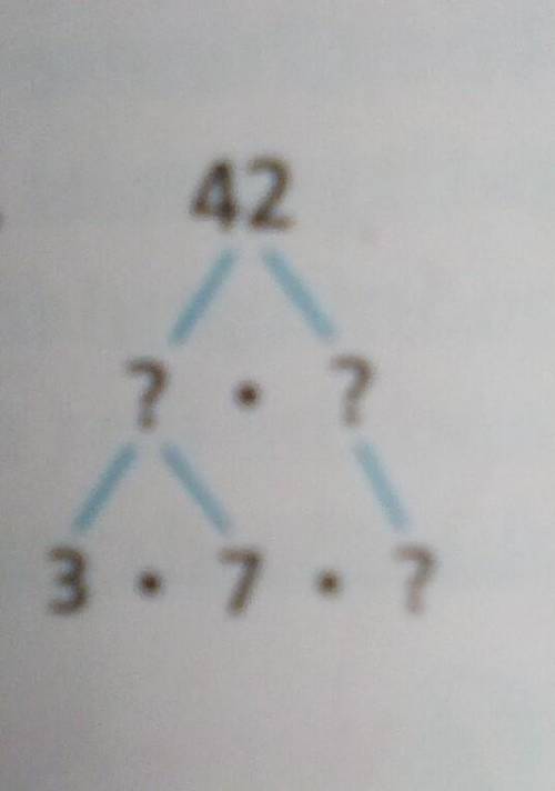 What is prime factorization and how do I solve this question???