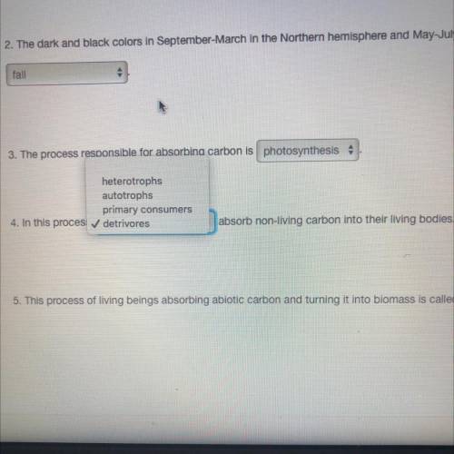 I need number 4 answered pls.