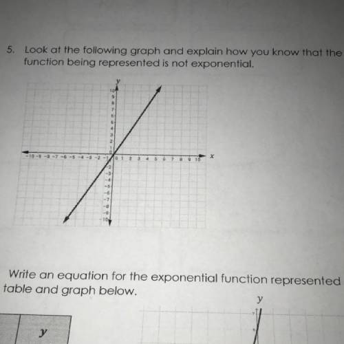 Need help with number 5 please and Thank you
