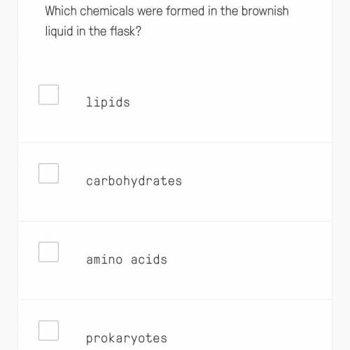 Which chemicals were formed in the brownish liquid in the flask? Select all that apply