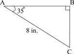 The figure below shows a triangular piece of cloth:

IMAGE BELOW
What is the length of the portion