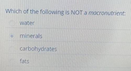 Which of the following is NOT a macronutrient? (I marked that because I thought that was the correc
