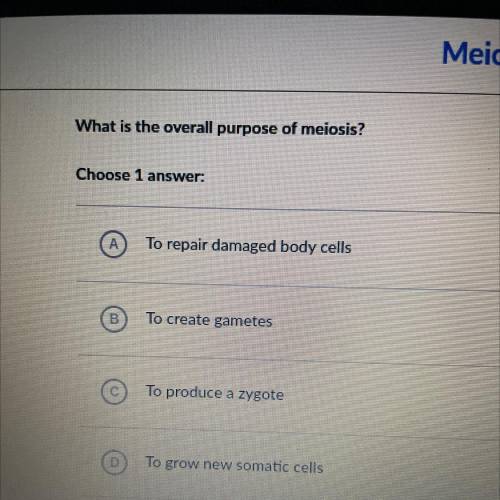 What is the overall purpose of meiosis?

Choose 1 
А
To repair damaged body cells
B
To crea