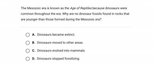 The Mesozoic era is known as the Age of Reptiles because dinosaurs were common throughout the era.