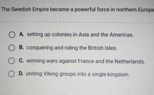 The Swedish Empire became a powerful force in northern Europe by: PLZ HELP