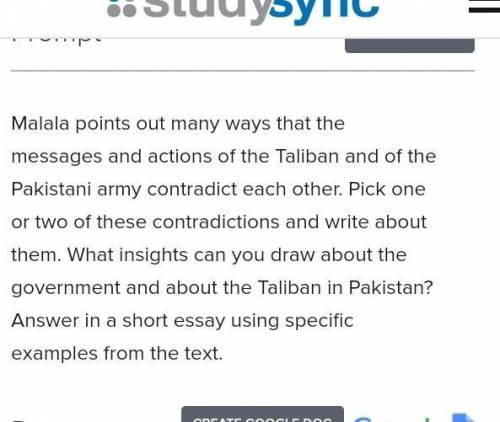 What insight can you draw about the government about the Taliban and Pakistan? malala