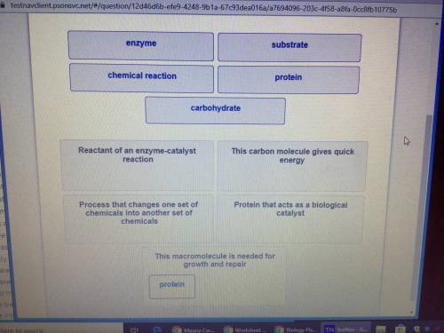 9th grade biology 10pts (photo attached)
Match the following: