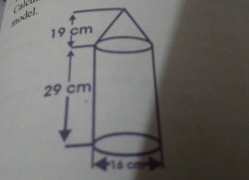 The model below is made up of a cylinder and a cone. The height of the cylinder is 29cm and the hei
