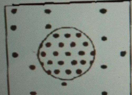 The black dotsThe black dots represents the solute. Identify the type of solution below.

A. Hyper