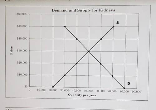 The shortage in kidneys is the difference between the quantity demanded and the quantity supplied w