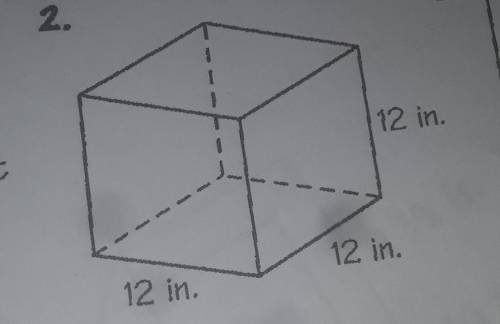 Find the area of the prism