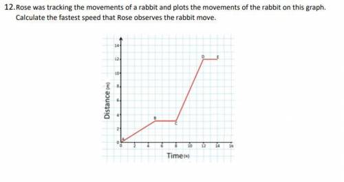 Rose was tracking the movements of a rabbit and plots the movements of the rabbit on this graph.
