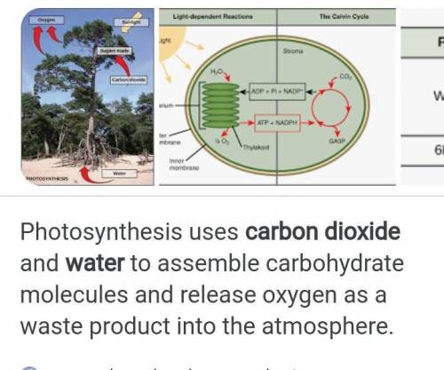 The major atmospheric by product of photosynthesis is