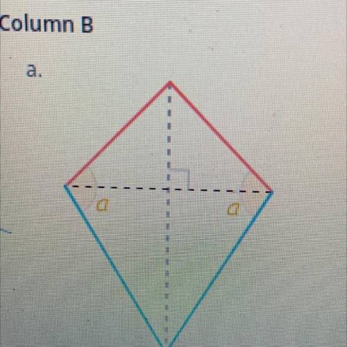 What is this shape called ?