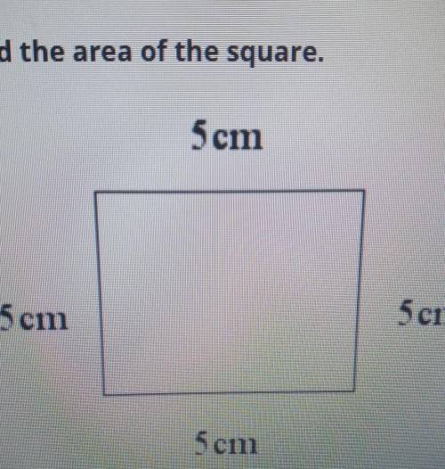 Find the area of the square?