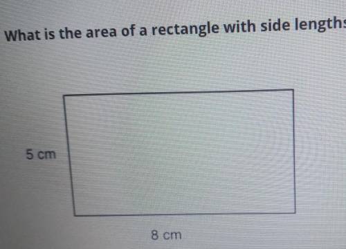 What is the area of a rectangle with side lengths of 5cm and 8cm??