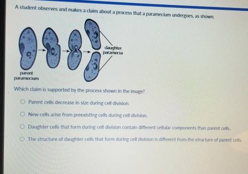 A student observes and makes a claim about a process that a paramecium undergoes, as shown. 30 daug