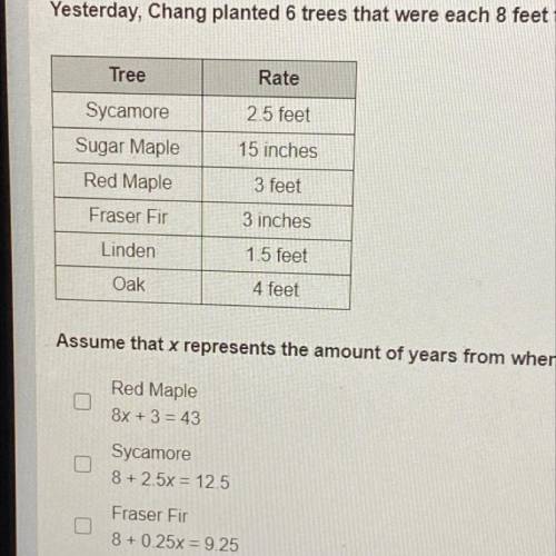 Yesterday, Chang planted 6 trees that were each 8 feet tall in his yard. Chang projects the trees t