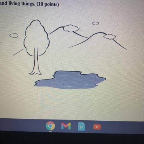 Describe how the water cycle moves water between the tree, the lake, and the sky in the picture bel