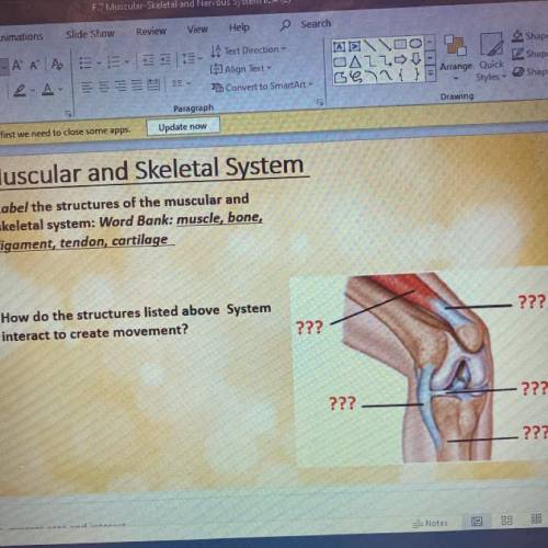 Muscular and Skeletal System

• Label the structures of the muscular and
skeletal system: Word Ban