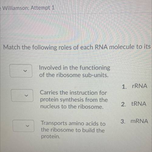 Match the following roles of each RNA molecule to its name.